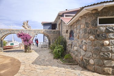 Винья-дель-Мар и дом Пабло Неруды в Исла-негра